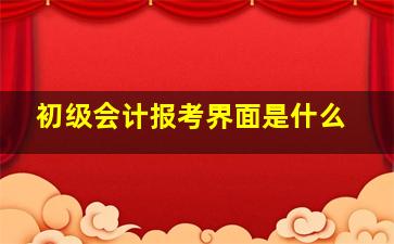 初级会计报考界面是什么