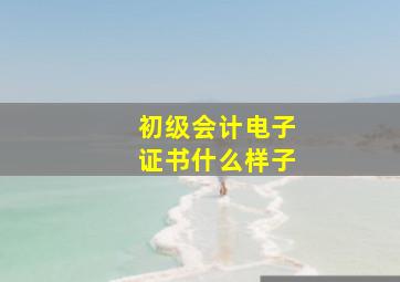 初级会计电子证书什么样子