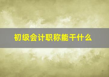 初级会计职称能干什么