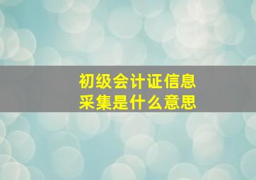 初级会计证信息采集是什么意思