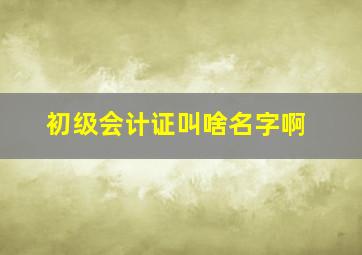 初级会计证叫啥名字啊