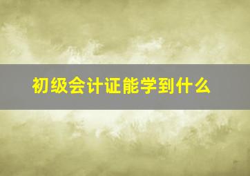 初级会计证能学到什么