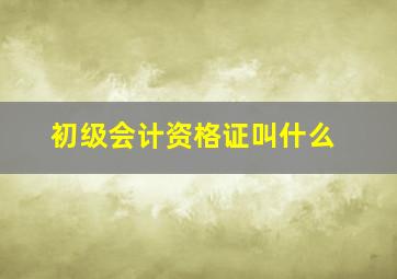 初级会计资格证叫什么