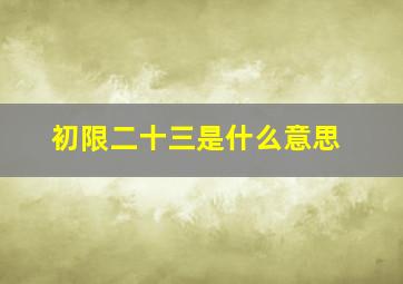 初限二十三是什么意思