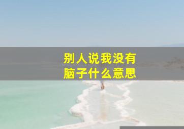 别人说我没有脑子什么意思