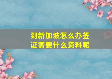 到新加坡怎么办签证需要什么资料呢