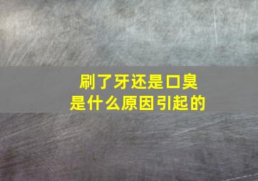 刷了牙还是口臭是什么原因引起的