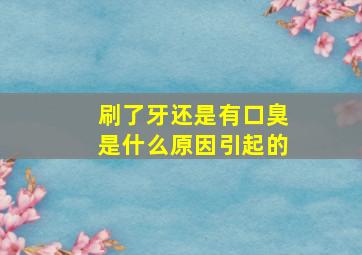 刷了牙还是有口臭是什么原因引起的