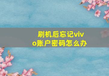 刷机后忘记vivo账户密码怎么办