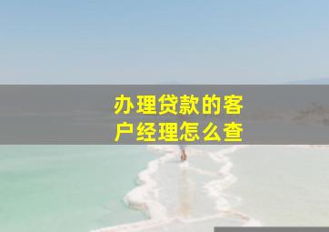 办理贷款的客户经理怎么查