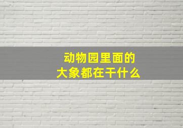 动物园里面的大象都在干什么