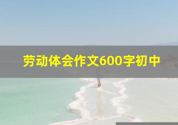 劳动体会作文600字初中