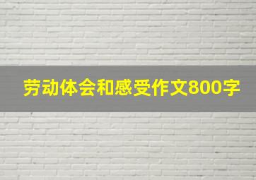 劳动体会和感受作文800字