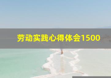 劳动实践心得体会1500