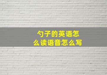 勺子的英语怎么读语音怎么写