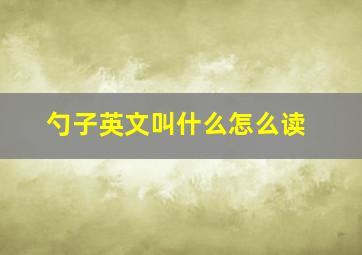 勺子英文叫什么怎么读