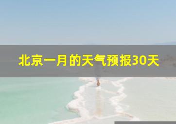 北京一月的天气预报30天