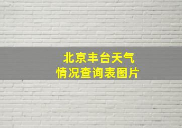 北京丰台天气情况查询表图片