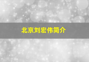 北京刘宏伟简介