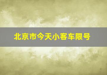 北京市今天小客车限号