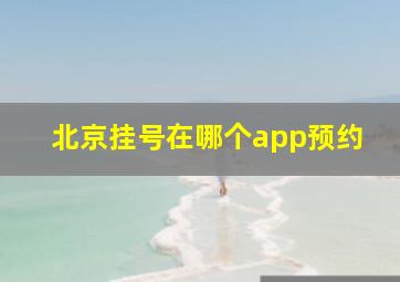 北京挂号在哪个app预约