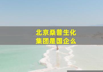 北京桑普生化集团是国企么