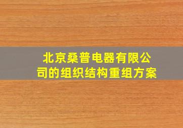 北京桑普电器有限公司的组织结构重组方案