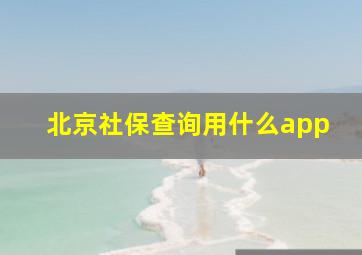 北京社保查询用什么app