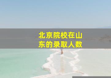 北京院校在山东的录取人数