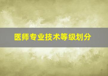 医师专业技术等级划分