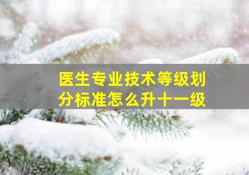 医生专业技术等级划分标准怎么升十一级