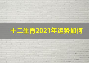 十二生肖2021年运势如何