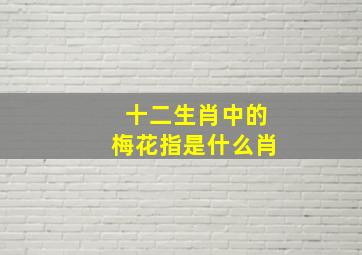 十二生肖中的梅花指是什么肖