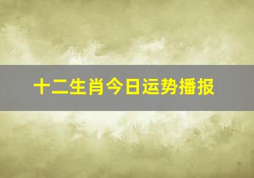 十二生肖今日运势播报