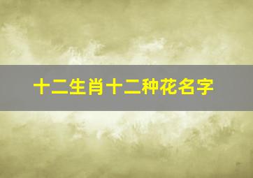 十二生肖十二种花名字