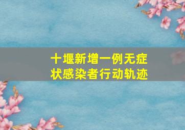 十堰新增一例无症状感染者行动轨迹