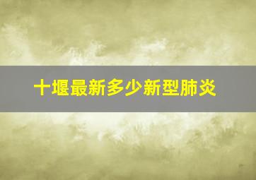 十堰最新多少新型肺炎