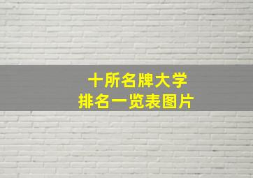 十所名牌大学排名一览表图片