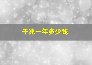 千兆一年多少钱