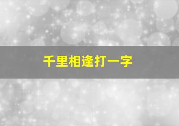 千里相逢打一字