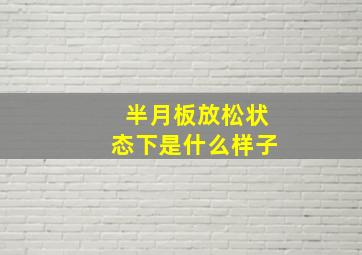 半月板放松状态下是什么样子