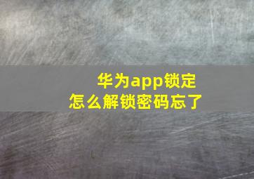 华为app锁定怎么解锁密码忘了