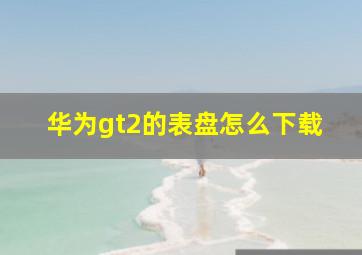 华为gt2的表盘怎么下载