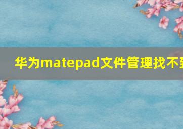 华为matepad文件管理找不到