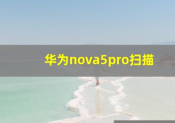 华为nova5pro扫描