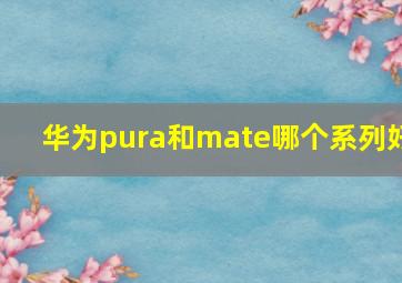 华为pura和mate哪个系列好