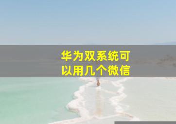 华为双系统可以用几个微信