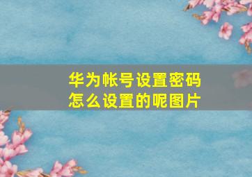 华为帐号设置密码怎么设置的呢图片