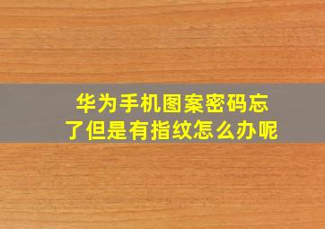 华为手机图案密码忘了但是有指纹怎么办呢