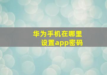 华为手机在哪里设置app密码